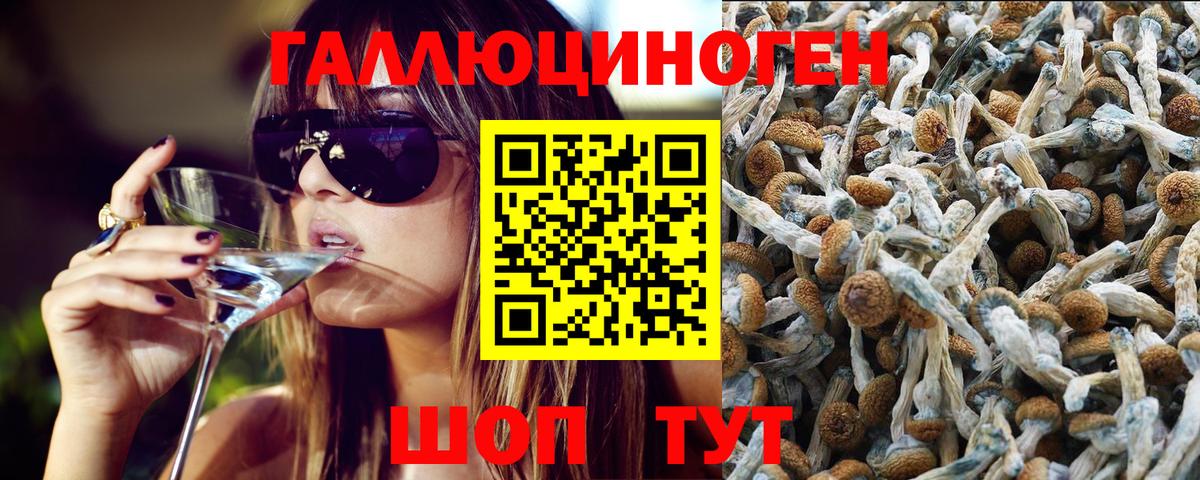 Нижнеудинск  Псилоцибиновые грибы Cubensis  Галлюциногенные грибы Psilocybe  Вход с VPN 